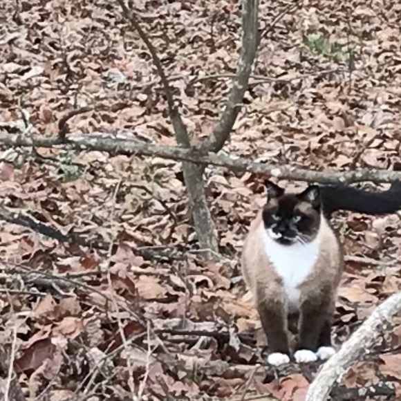 Meet your Posher, Mary - Picture 13 of 16
